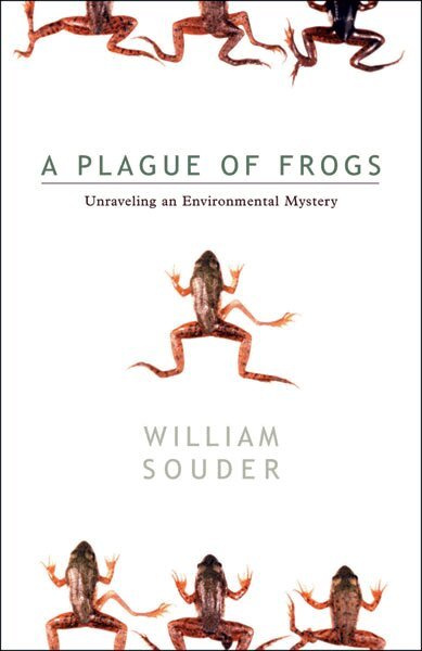 William Souder - Plague of Frogs, Häftad. Tillgänglighet: Tillfälligt slut