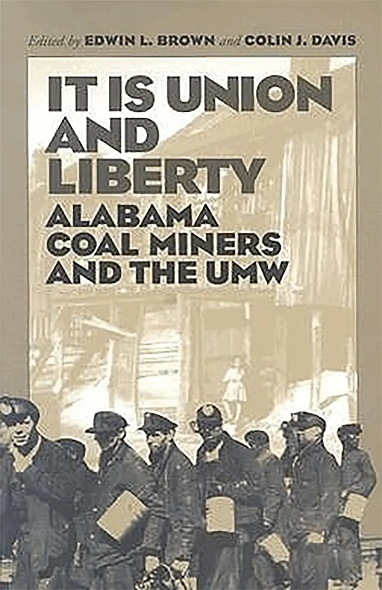 Edwin Brown, Colin Davis - It Is Union and Liberty, Inbunden. Tillgänglighet: Tillfälligt slut