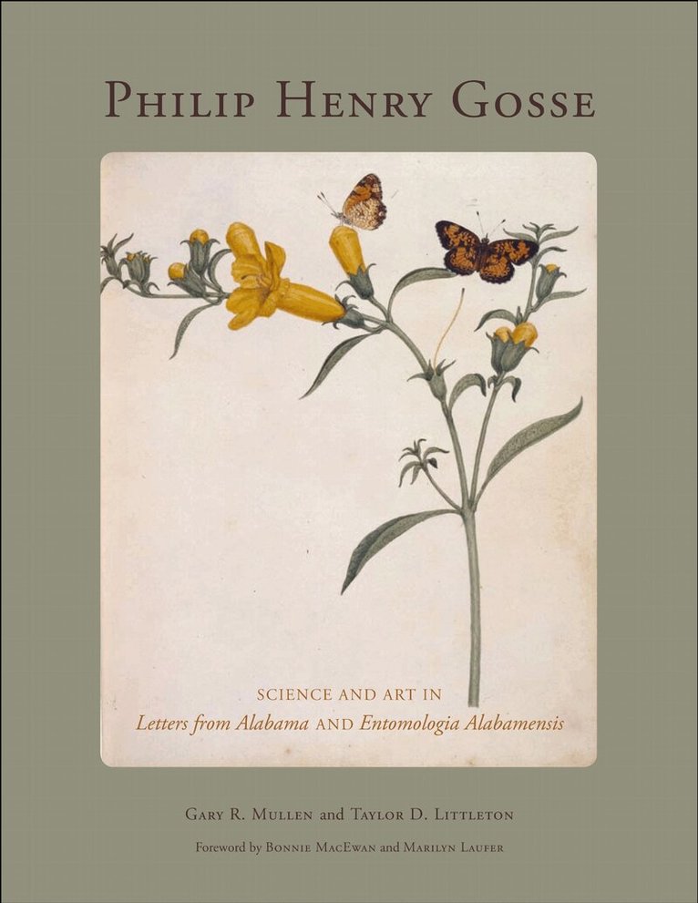 Gary Mullen, Taylor Littleton - Philip Henry Gosse, Inbunden. Tillgänglighet: Tillfälligt slut