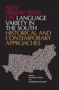 New Perspectives on Language Variety in the South