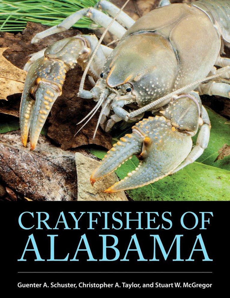 Guenter A. Schuster, Christopher A. Taylor, Stuart W. McGregor - Crayfishes of Alabama, Inbunden. Tillgänglighet: Tillfälligt slut