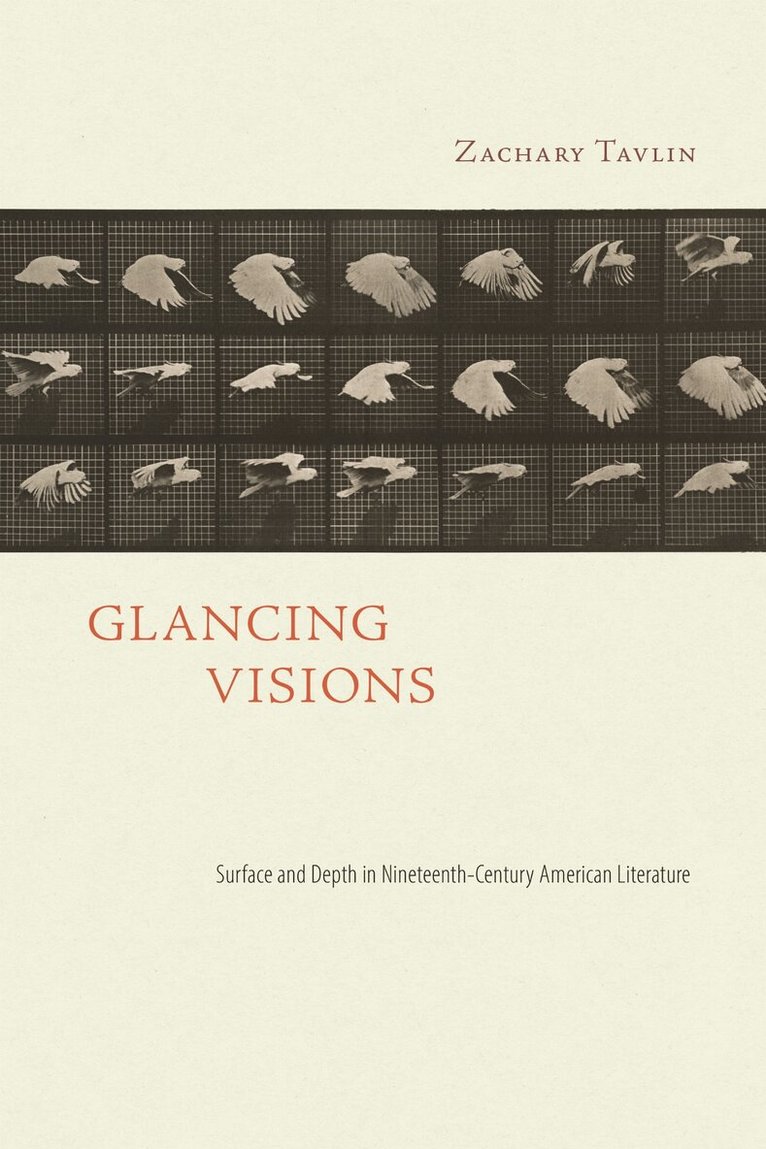 Zachary Tavlin - Glancing Visions, Inbunden