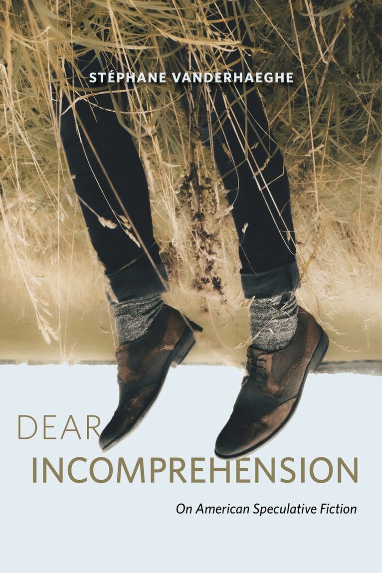 Stéphane Vanderhaeghe - Dear Incomprehension, Inbunden
