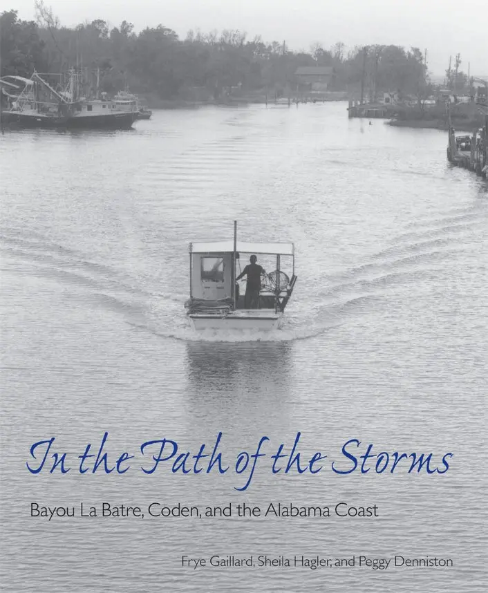 Frye Gaillard, Sheila Hagler, Frye Gaillard, Sheila Hagler, Peggy Denniston - In the Path of the Storms, Häftad. Tillgänglighet: Lägg i varukorg