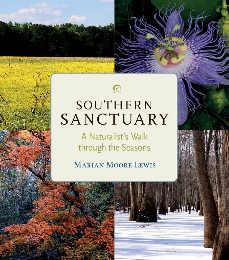 Marian Moore Lewis - Southern Sanctuary, Inbunden. Tillgänglighet: Tillfälligt slut