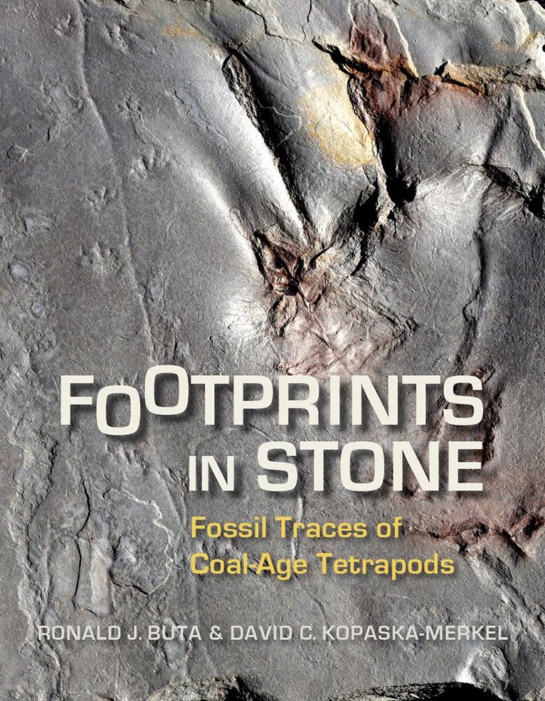 Ronald J. Buta, David C. Kopaska-Merkel - Footprints in Stone, Häftad