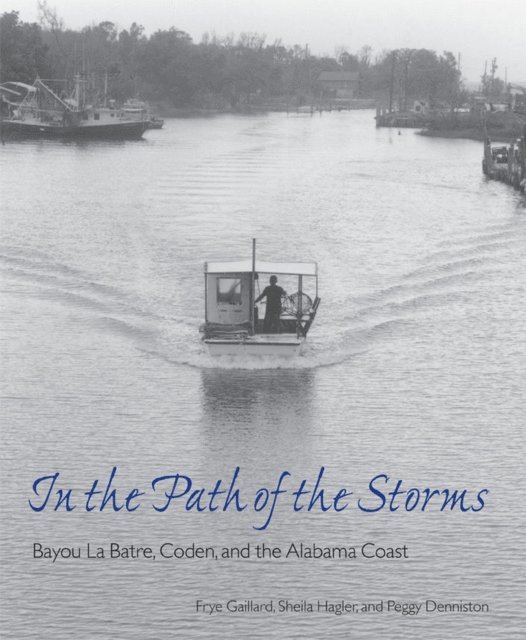 Peggy Denniston, Sheila Hagler, Frye Gaillard - In the Path of the Storms, E-bok