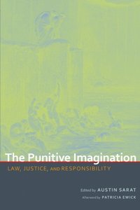 Punitive Imagination