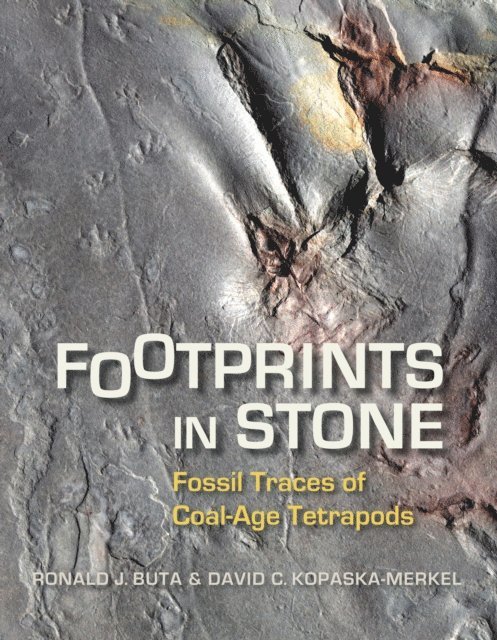 David C. Kopaska-Merkel, Ronald J. Buta - Footprints in Stone, E-bok