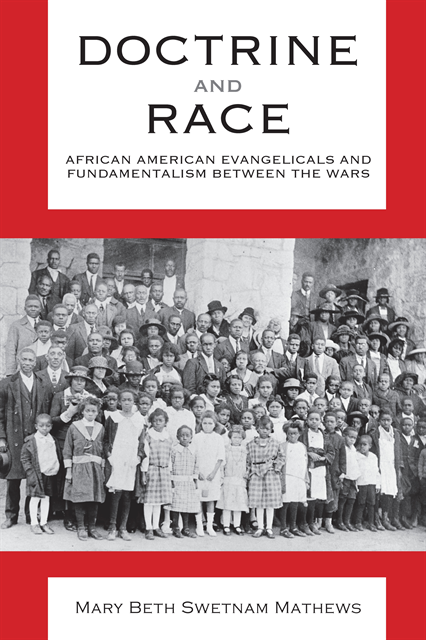 Mary Beth Swetnam Mathews - Doctrine and Race, E-bok
