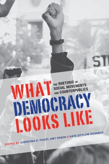 Kate Zittlow Rogness, Amy Pason, Christina R. Foust - What Democracy Looks Like, E-bok