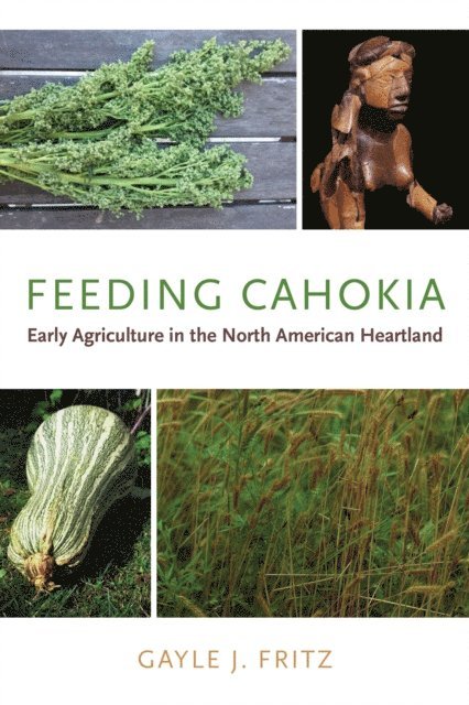 Gayle J. Fritz - Feeding Cahokia, E-bok
