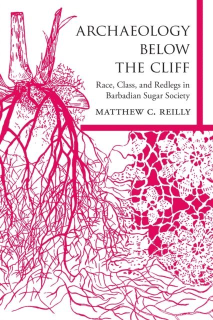 Matthew C. Reilly - Archaeology below the Cliff, E-bok