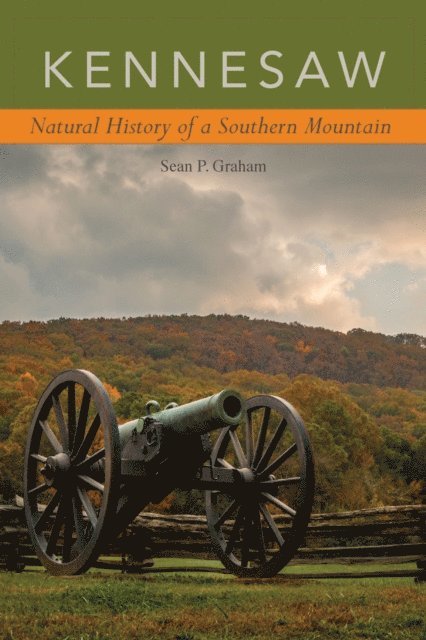 Sean P. Graham - Kennesaw, E-bok