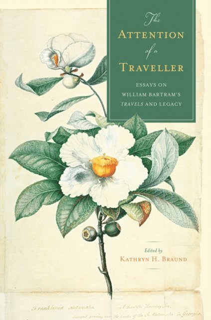 Kathryn H. Braund - Attention of a Traveller, E-bok