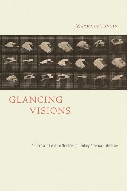 Zachary Tavlin - Glancing Visions, E-bok