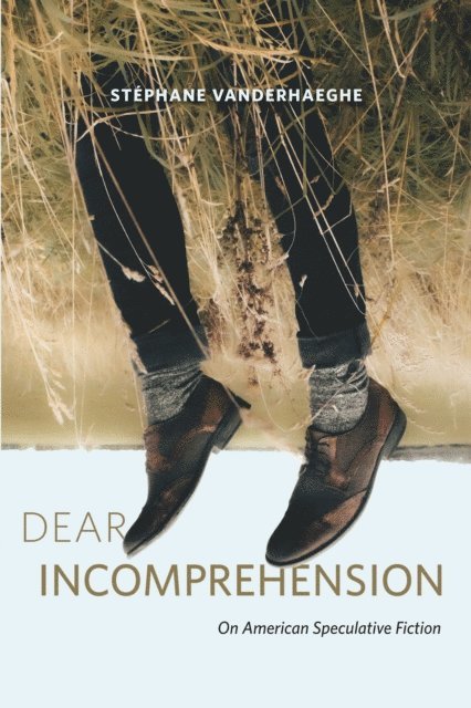 Stephane Vanderhaeghe - Dear Incomprehension, E-bok