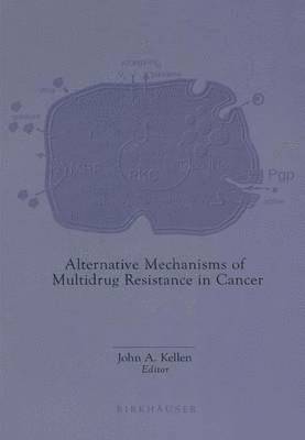 John A. Kellen - Alternative Mechanisms of Multidrug Resistance in Cancer, Inbunden
