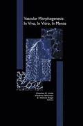 Vascular Morphogenesis: In Vivo, In Vitro, In Mente