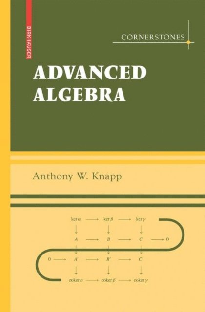 Anthony W. Knapp - Advanced Algebra, E-bok