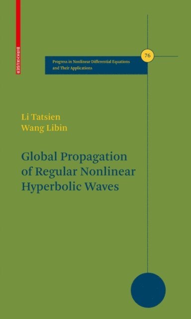 Wang Libin, Tatsien Li - Global Propagation of Regular Nonlinear Hyperbolic Waves, E-bok