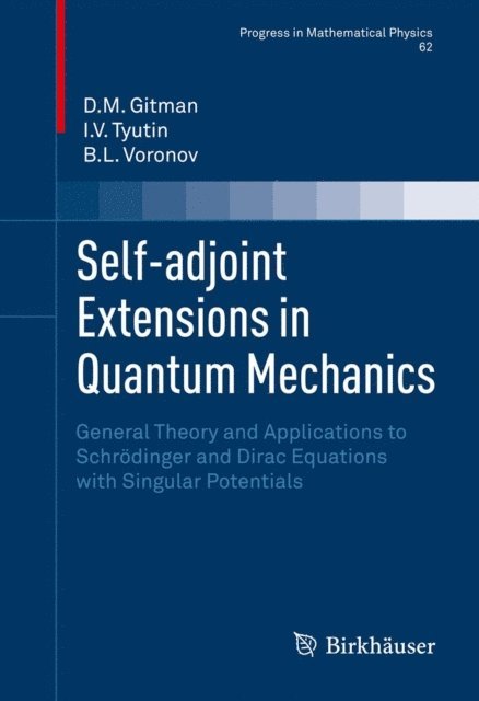 B.L. Voronov, I.V. Tyutin, D.M. Gitman - Self-adjoint Extensions in Quantum Mechanics, E-bok