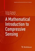Mathematical Introduction to Compressive Sensing