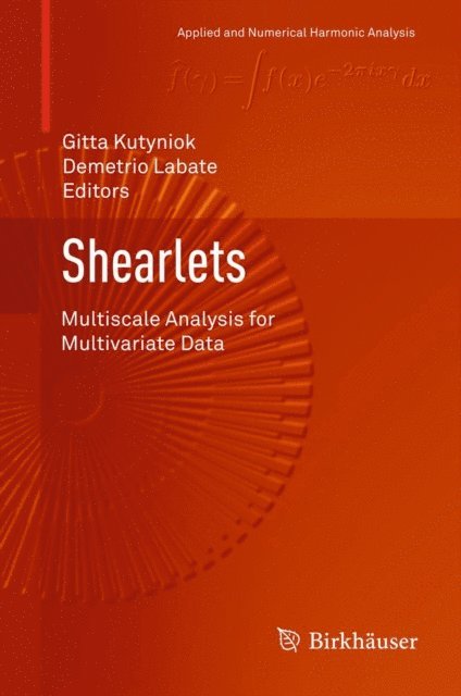 Demetrio Labate, Gitta Kutyniok - Shearlets, E-bok