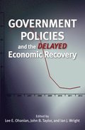 Government Policies and the Delayed Economic Recovery