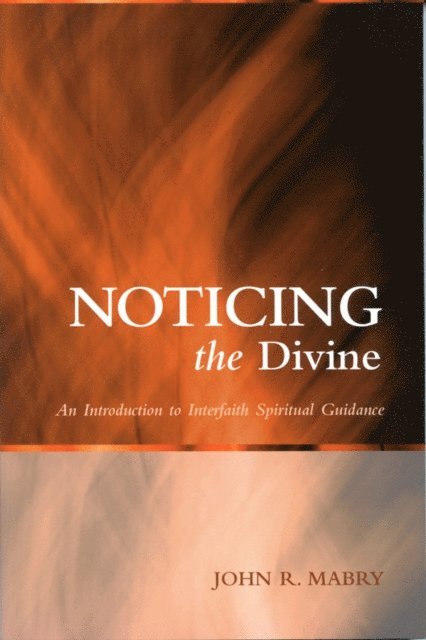 John R. Mabry - Noticing the Divine, E-bok