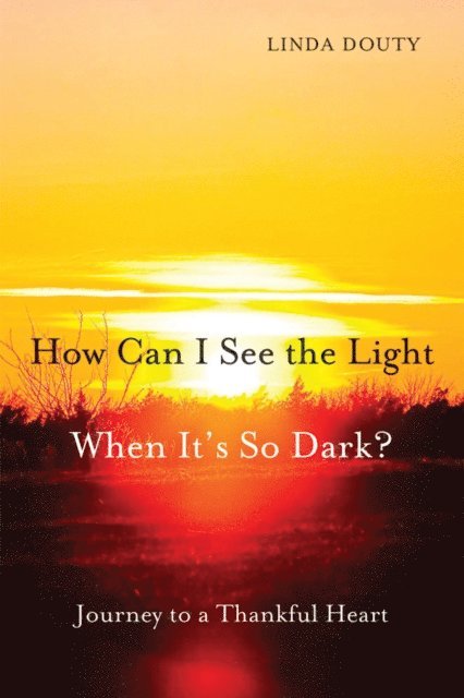 Linda Douty - How Can I See the Light When It's So Dark?, E-bok. Tillgänglighet: Lägg i varukorg