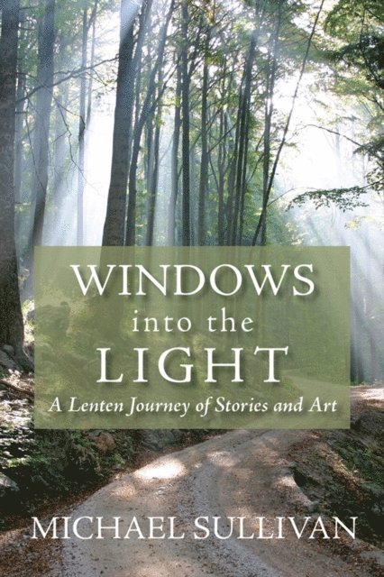 Michael Sullivan - Windows into the Light, E-bok