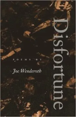 Joe Wenderoth - Disfortune, Häftad. Tillgänglighet: Lägg i varukorg