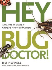 Hey, Bug Doctor!