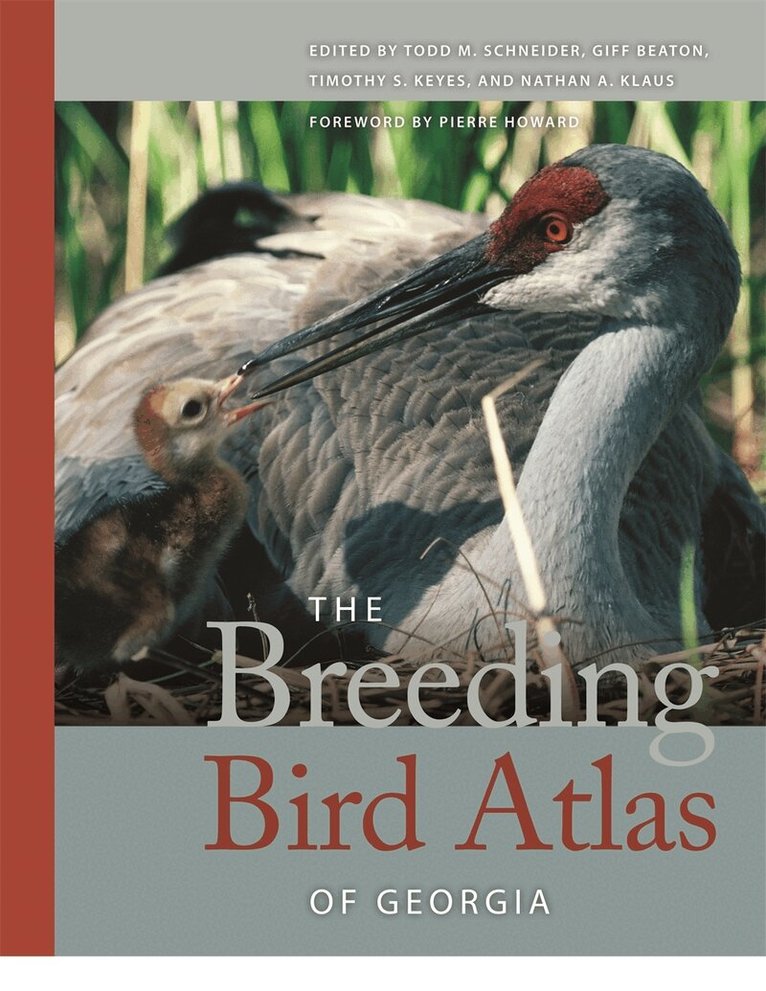 Todd M. Schneider, Giff Beaton, Timothy S. Keyes, Nathan A. Klaus - Breeding Bird Atlas of Georgia, Inbunden