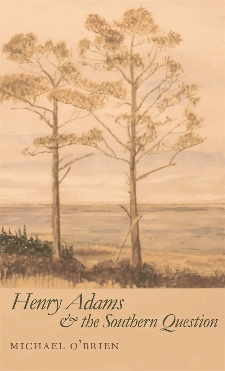 Michael O'Brien - Henry Adams and the Southern Question, Häftad. Tillgänglighet: Lägg i varukorg