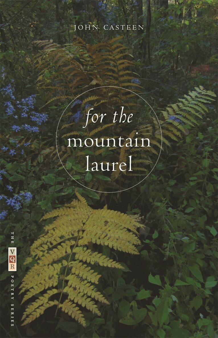 John Casteen - For the Mountain Laurel, Häftad. Tillgänglighet: Tillfälligt slut