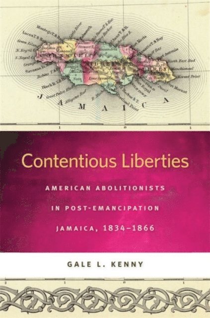 Gale L. Kenny - Contentious Liberties, E-bok