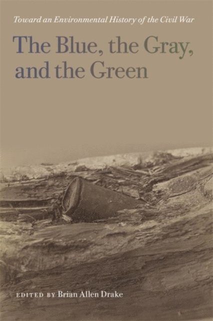 Brian Allen Drake - Blue, the Gray, and the Green, E-bok
