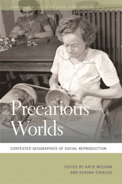 Katie Meehan, Kendra Strauss - Precarious Worlds, E-bok