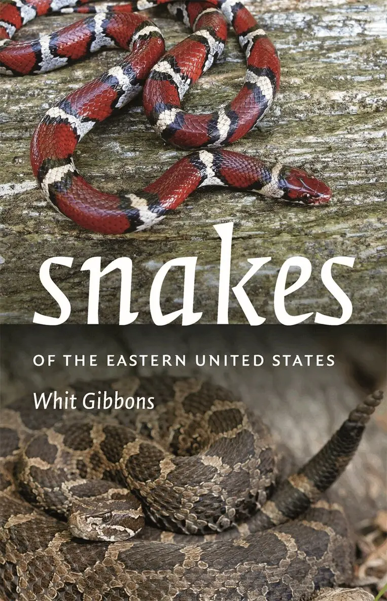 Whit Gibbons - Snakes of the Eastern United States, Häftad. Tillgänglighet: Lägg i varukorg
