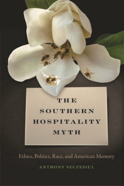 Anthony Szczesiul - Southern Hospitality Myth, E-bok