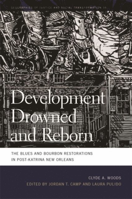 Clyde Woods, Laura Pulido, Jordan T. Camp - Development Drowned and Reborn, E-bok