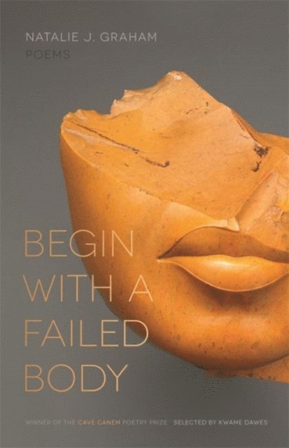 Natalie J. Graham - Begin with a Failed Body, E-bok