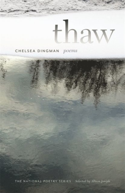 Chelsea Dingman - Thaw, E-bok