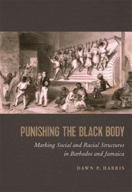 Dawn P. Harris - Punishing the Black Body, E-bok