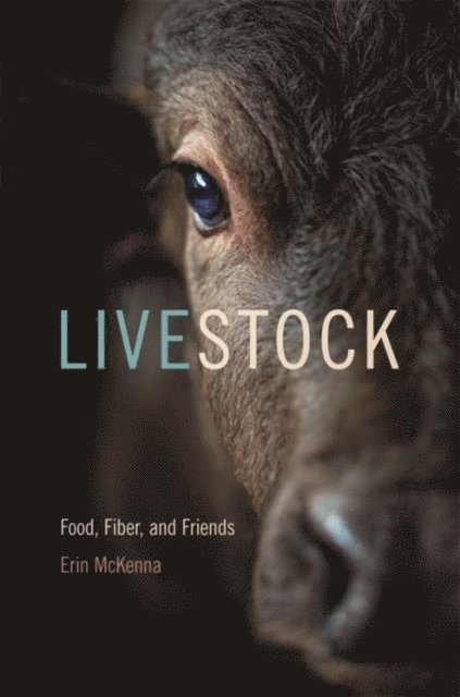 Erin McKenna - Livestock, E-bok
