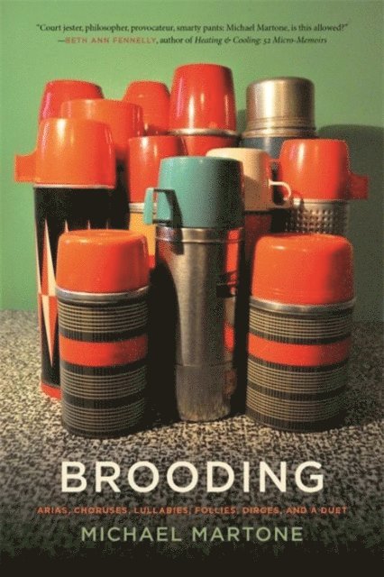 Michael Martone - Brooding, E-bok