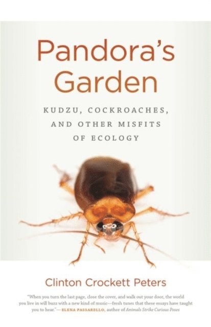 Clinton Crockett Peters - Pandora's Garden, E-bok