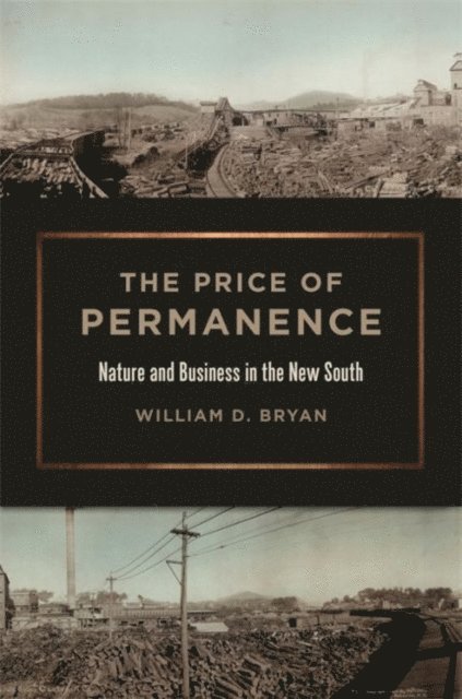 William D. Bryan - Price of Permanence, E-bok